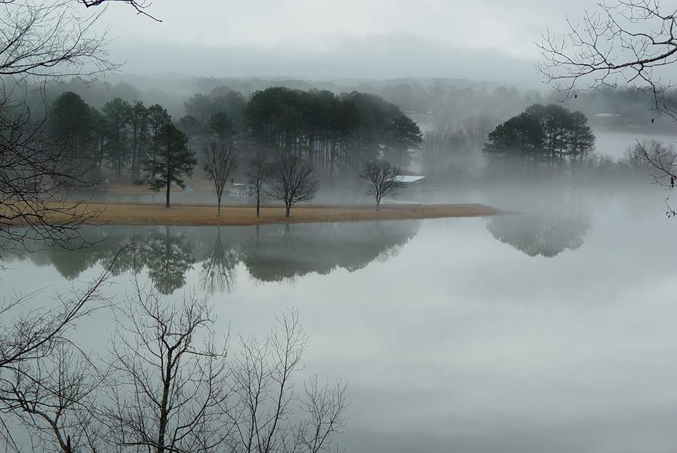 ::::::::LIKE:::::::: - 10010545423995024624892063330879n.jpg